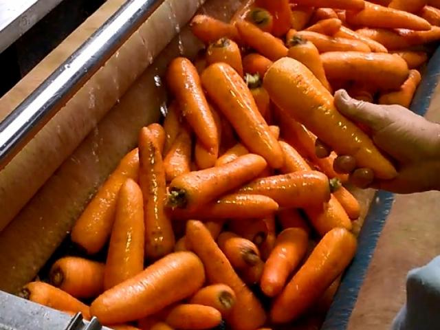 Машина для чистки овощей в Семилуках