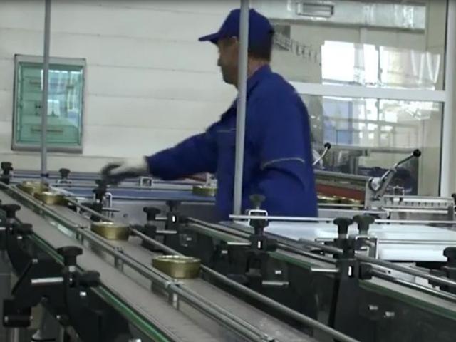 Транспортер пластинчатый (Универсальный) в Семилуках