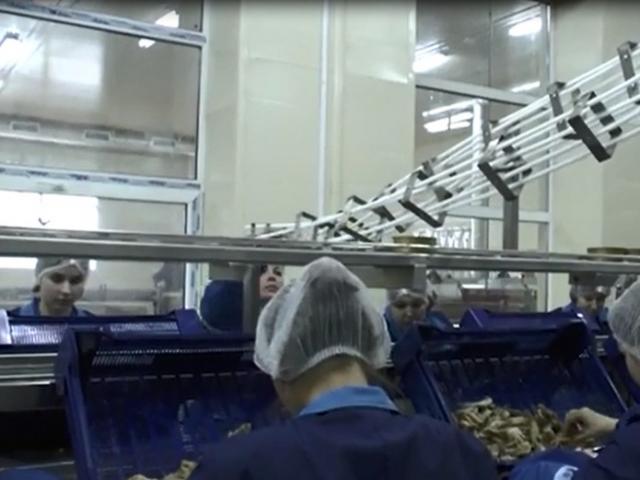 Гравитационная направляющая для пустой жестяной тары в Семилуках